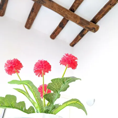 Casa vacanze San Carlo